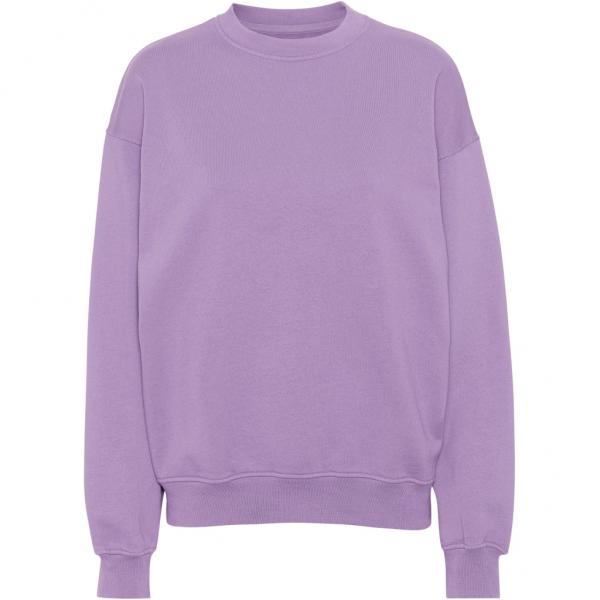 Colorfgull_standard_org_oversized_crew_oearly_purple